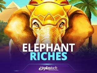 Elephant Riches game cover